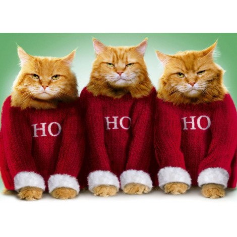 Ho Ho Ho Cat Christmas Diamond Painting Kit