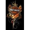 Harley Motorcycle Fire Diamond Painting Kit