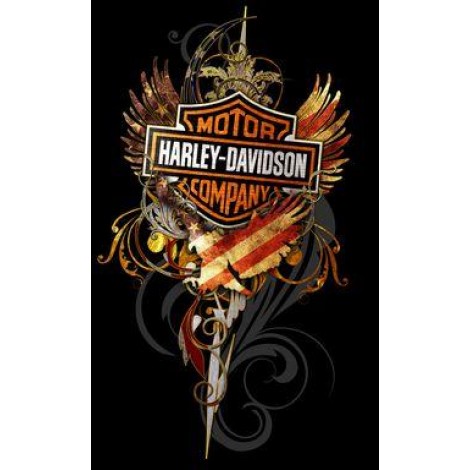 Harley Motorcycle Fire Diamond Painting Kit