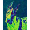 Great Dane Color Green Diamond Painting Kit