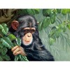 Gorilla Baby Diamond Painting Kit