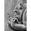 Gorilla and Butterfly Diamond Painting Kit