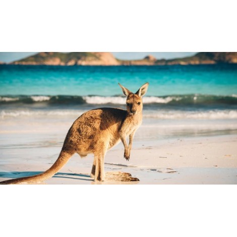 Kangaroo Island Diamond Painting Kit