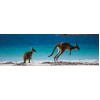 Kangaroo Island  Blue Diamond Painting Kit