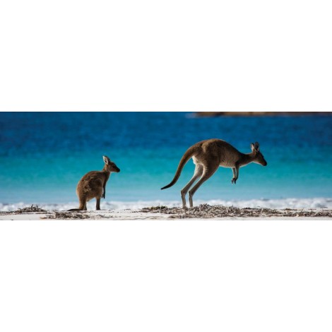 Kangaroo Island  Blue Diamond Painting Kit