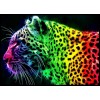 Jaguar Colors Diamond Painting Kit