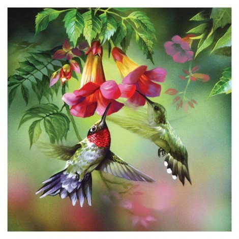 Hummingbird Full Flowers Diamond Painting Kit