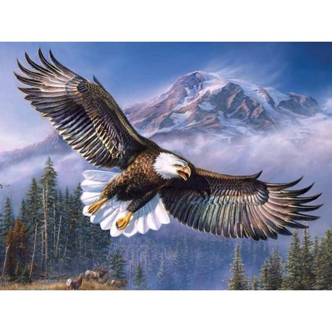 Flying Eagle Diamond Painting Kit