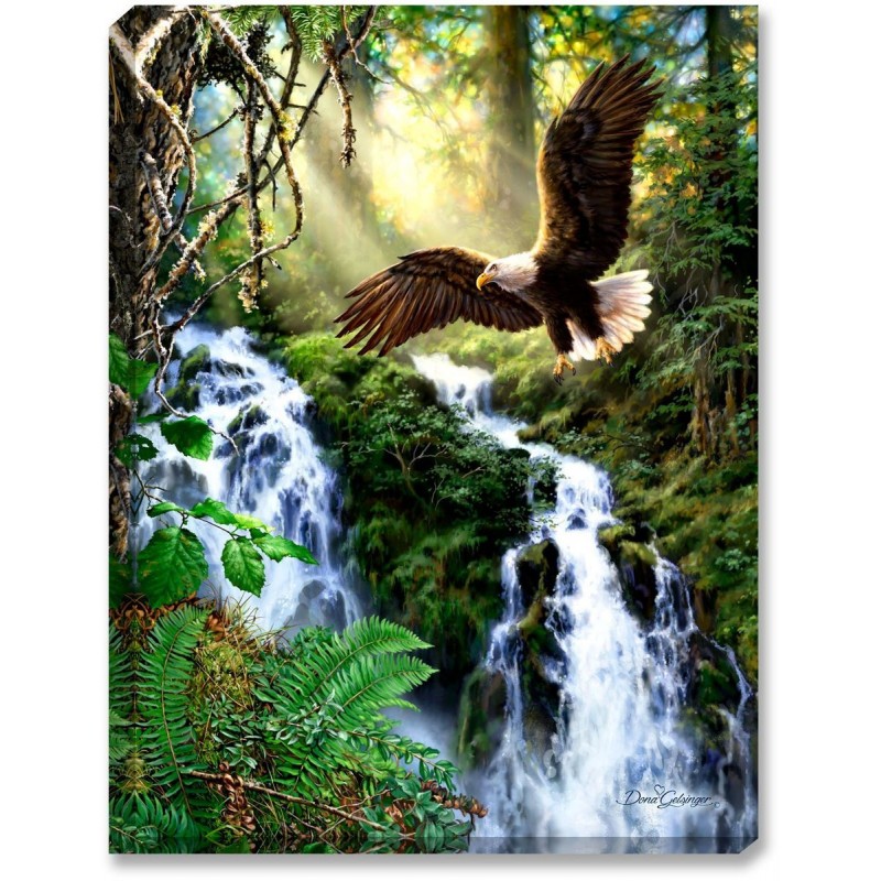 Landscape Eagle Wate...