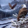 Eagles Winter Diamond Painting Kit