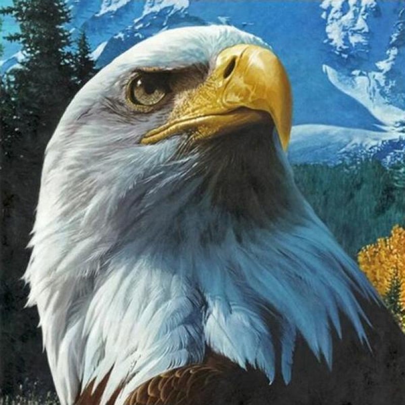 Eagle Seeing Diamond...