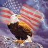 Eagles Flag And Thunder Diamond Painting Kit