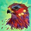 Eagle Colors Full Diamond Painting Kit