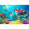 Mermaid Diamond Painting Kit Mermaid-4