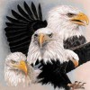 Eagle And Eagle Diamond Painting Kit