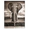 Drinking Elephant Diamond Painting Kit