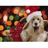 Dog Christmas Toy Diamond Painting Kit