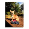 Dog Apple And Grape Diamond Painting Kit