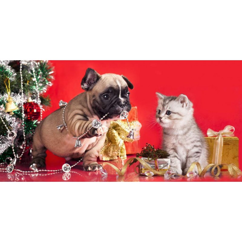 Dog And Cat Christma...