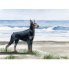 Doberman Pinscher Beach Diamond Painting Kit