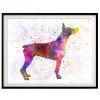 Doberman Colors Diamond Painting Kit