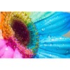 Colorful Sunflowers Diamond Painting Kit