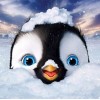 Penguin Diamond Painting Kit