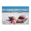 Rainbow Seashells Needlework Diamond Painting Kit