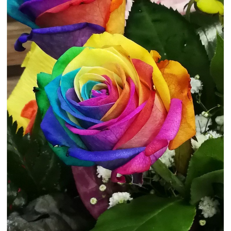 Rainbow Flowers Diam...