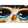 Special Shaped Animal Owl Cute Diamond Painting Kit