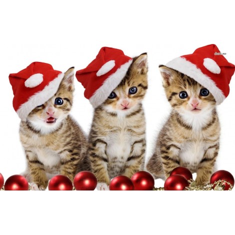 Christmas Cat Diamond Painting Kit