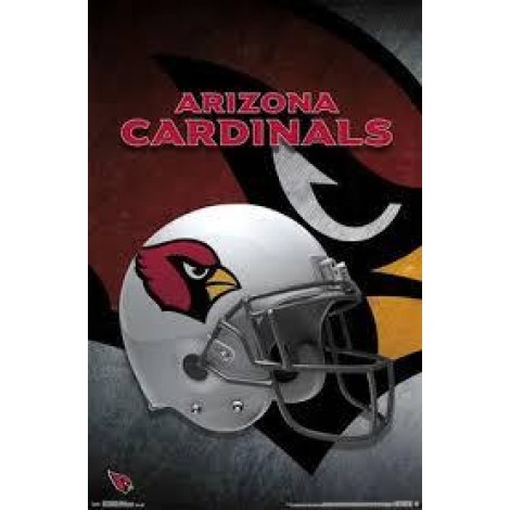 Cardinal Full Helmet Diamond Painting Kit